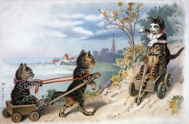 Chatons en traîneaux, début du 20e siècle
