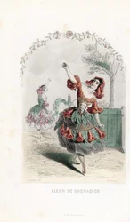La fée de la fleur de grenade danse - Eau-forte par Charles Geoffroy (1819-1882), d