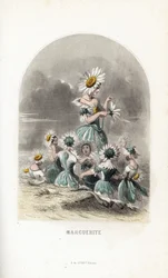 Les fées des marguerites des prés, coiffées de chapeaux de fleurs, l