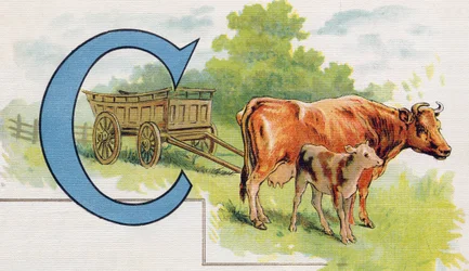 Lettre C: Carrosse. Gravure dans "ABC L