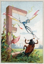 Lettre E comme escarpolette. Alphabet artistique de M. Marinier. Édité par Henry Sicard, fin 19ème siècle. Chromolithographies publicitaires pour des produits vendus en pharmacie. Dim : 12,5 x 9 cm.