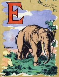 Lettre E comme éléphant. Alphabet illustré. Imageries réunies à Jarville-Nancy, début du 20ème siècle. Dim: 40 x 29 cm