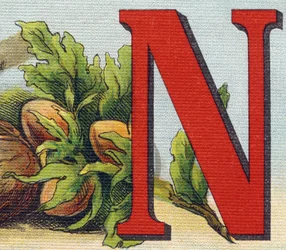 Lettre N : Noisettes. Gravure dans "Alphabet de ma petite fille". Bernardin-Béchet et Fils, libraires-éditeurs, Paris, vers 1895. Album incassable sur toile. Bibliothèque des Bébés.