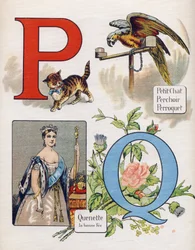 Lettre P et Q : petit chat, perche, perroquet et quenet, la bonne fée. Gravure dans « ABC L