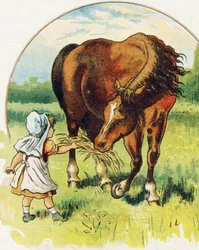Petite fille donnant du foin à un cheval. Gravure dans "ABC L