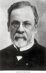 Louis Pasteur, chimiste et microbiologiste français, vers 1885