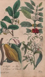 Produits de luxe
