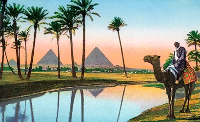 Homme sur un chameau regardant les pyramides de Gizeh, vers 1900