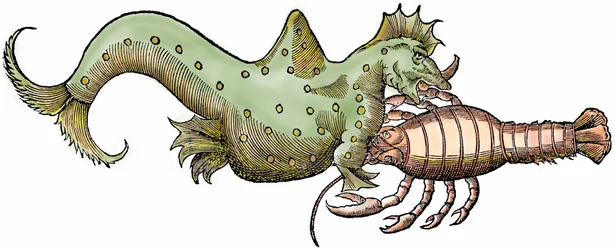 Dragon marin et crustacé géant, xylographie tirée de "Paralipomena accuratissima historiae omnium animalium quae in voluminibus Aldrovandi desiderantur" par Bartholomaeus Ambrosinus