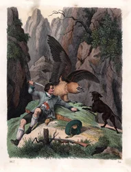 Mathias Sturz combattant un vautour barbu avec un couteau