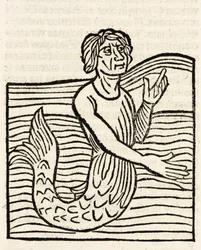Triton
