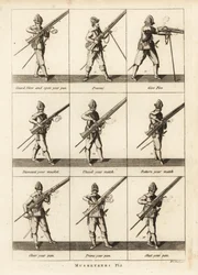 Exercices militaires des mousquetaires