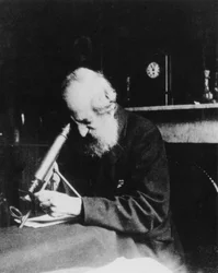 Mordecai Cubitt Cooke, écrivain et illustrateur anglais, vers 1900