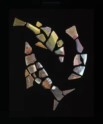 Fragments de carreaux de mosaïque de poisson, c.1er siècle av. J.-C. - 1er siècle apr. J.-C.