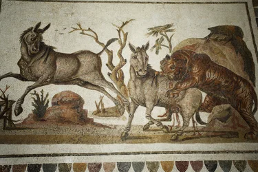 Mosaïque de combat d