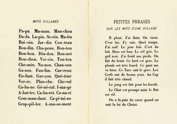 Mots syllabes et petites phrases sur les mots d