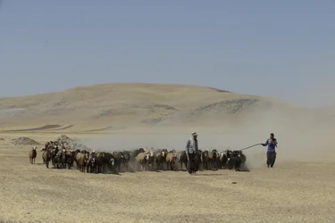 Tentes nomades entre Tamar et Ashkhaneh, Iran 2022