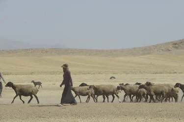 Tentes nomades entre Tamar et Ashkhaneh, Iran 2022