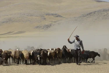 Tentes Nomades entre Tamar et Ashkhaneh, Iran 2022