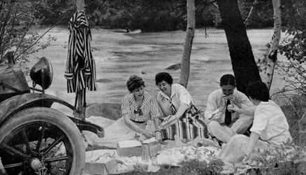 Amérique du Nord. Pique-nique attaquant le panier-repas lors d