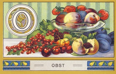 O : Obst - Alphabet Palmin. Série de chromolithographies éditées par H. Schlinck & Cie, Hambourg, s. d. Publicité pour Palmin feinstes Cocosfett. Dimensions : 7 x 11 cm