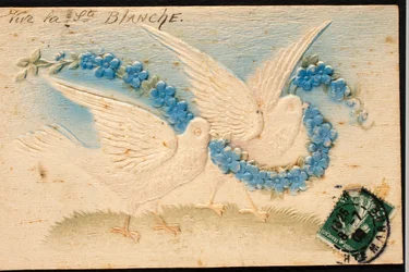 Vieille carte postale en tissu / Colombe