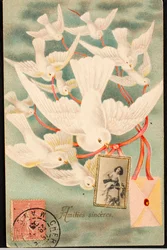Vieille carte postale/Amities sincères/Colombe