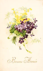Vieille carte postale/Violette et Mimosa