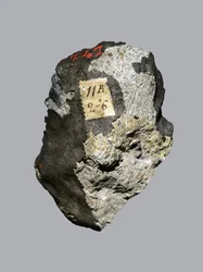Chondrite ordinaire (LL5). Tombée à Sienne (Italie) en 1794. Musée national d