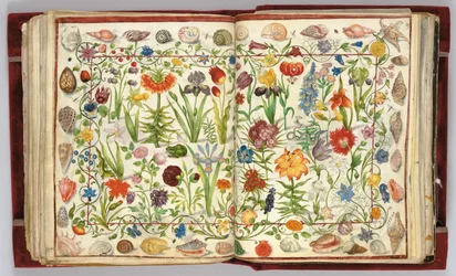 Pages de l