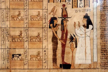 Papyrus provenant d