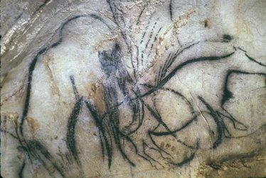 Grotte préhistorique de Pech Merle/Chapelle des mammouths/25 000 ans/Cabrerets/Lot/Midi-Pyrénées/France