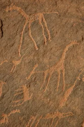 Art rupestre, Préhistoire : Gravure de girafes, autruches, autres animaux et personnages dans le massif de l