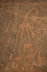 Art rupestre, Préhistoire : Gravure de girafes, autruches, moutons et personnages dans le massif de l