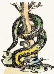 S - Serpent - Alphabet de divertissement pour enfants c.1890