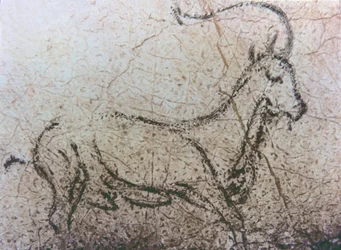 Chèvre espagnole, période paléolithique, c.40000-12000 av. J.-C. (peinture rupestre)