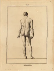 Statue d