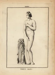 Statue de Vénus Dorée, déesse romaine de l