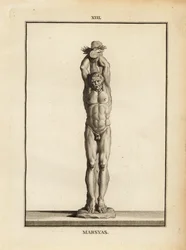 Statue du satyre Marsyas recevant la punition d