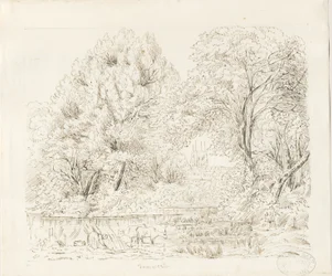 Tamworth - Vue rurale : dessin à l
