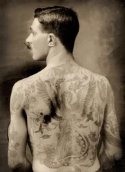 Marin britannique tatoué pendant la Grande Guerre de 1914-18, vu de dos