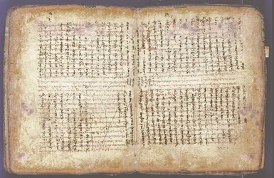 Le Palimpseste d