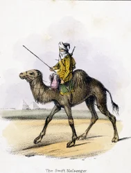 Le messager rapide, vers 1845