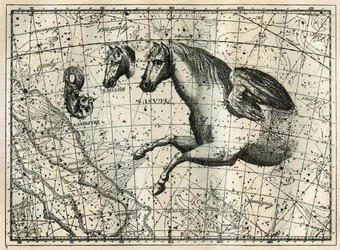 La constellation de Pégase, dessinée comme la moitié antérieure d