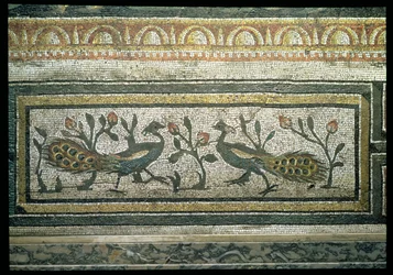 Deux paons, détail d
