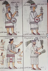 Tzapotlatena, Chalchiuhtlatonal, Cioapipitli et Tliltecuhtli, Codex Florentin
