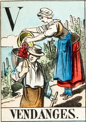 V Vendanges - « Alphabet de la ferme » fin du XIXe siècle (gravure)