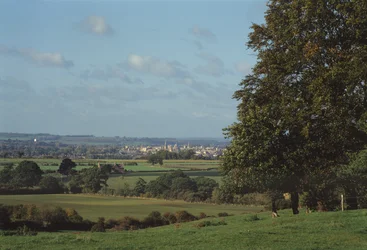 Vue d