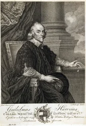 William Harvey, médecin anglais