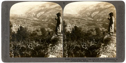 Plantation de vers à soie dans les montagnes du Liban, Syrie, années 1900